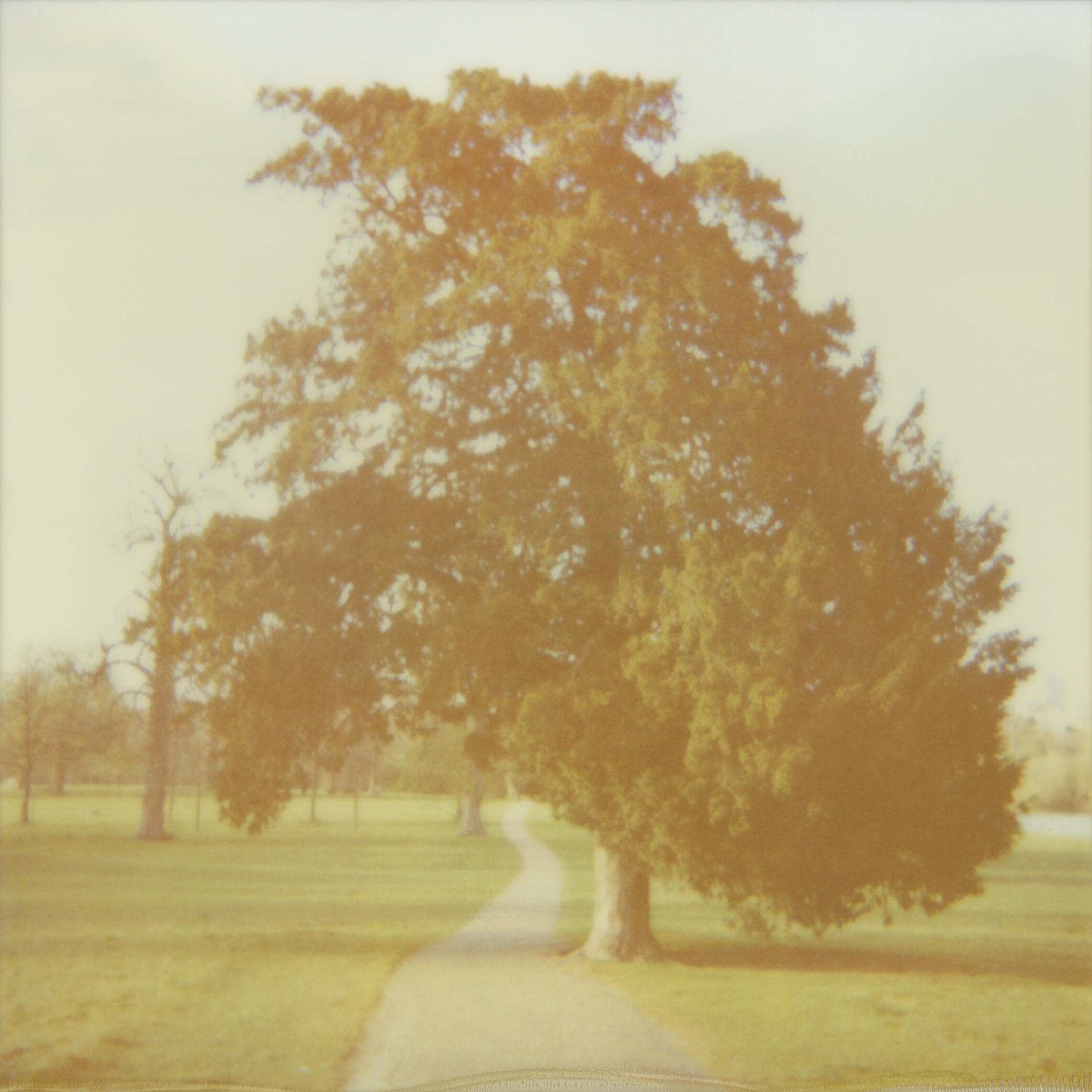 Hyde Park in London, United Kingdom (2009)