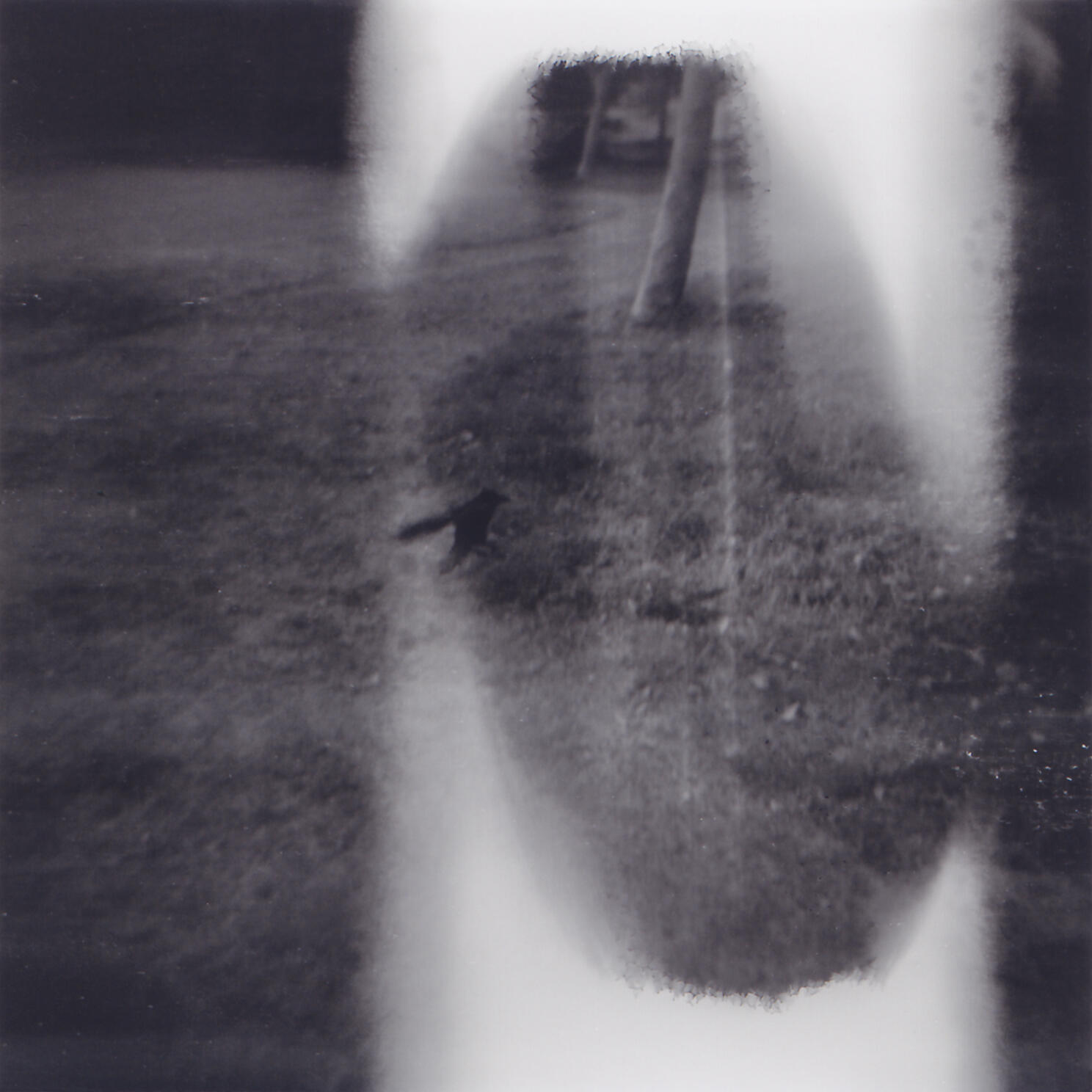 Mile End Park in London, United Kingdom (2009)